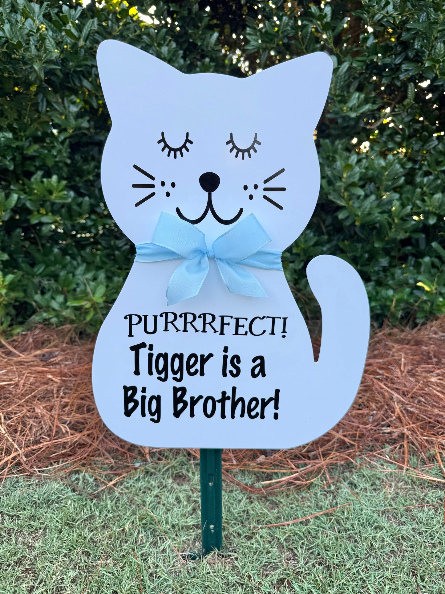 cat birth lawn yard celebration sign