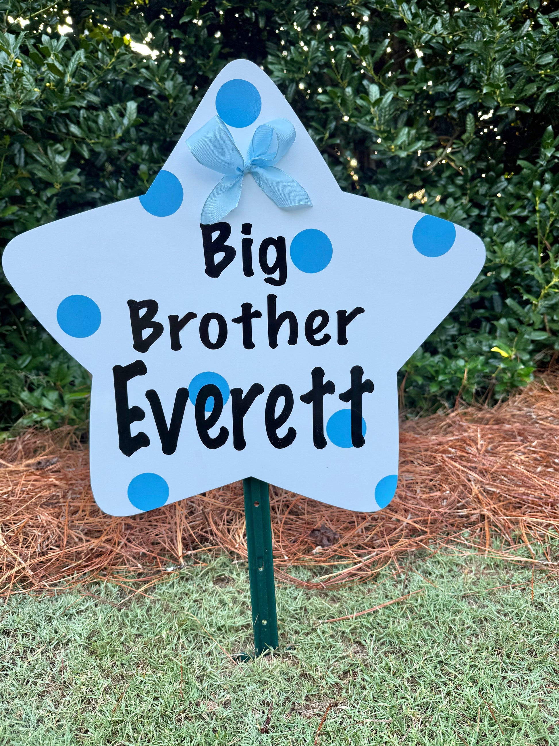 brother sister sibling star message birth lawn yard celebration sign 
