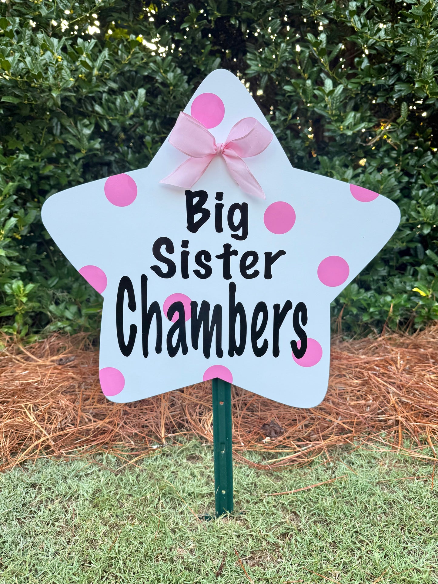 brother sister sibling star message birth lawn yard celebration sign 
