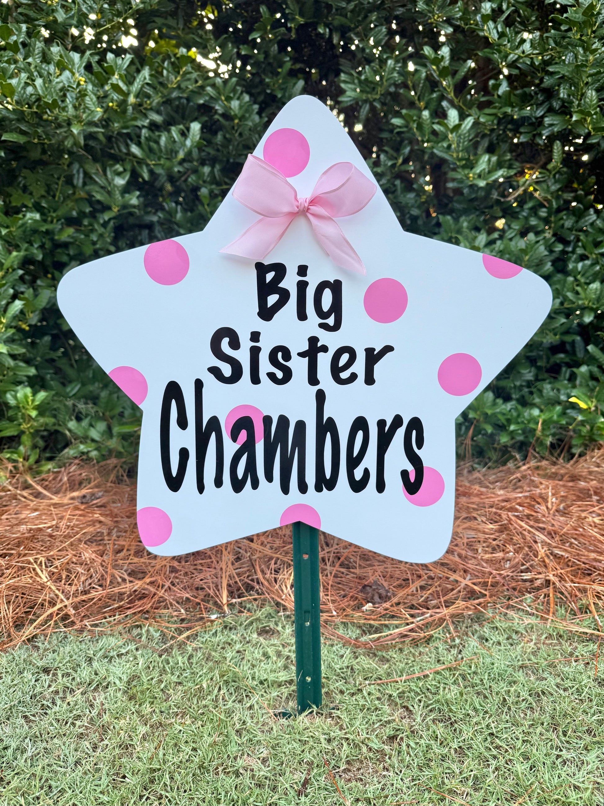 brother sister sibling star message birth lawn yard celebration sign 