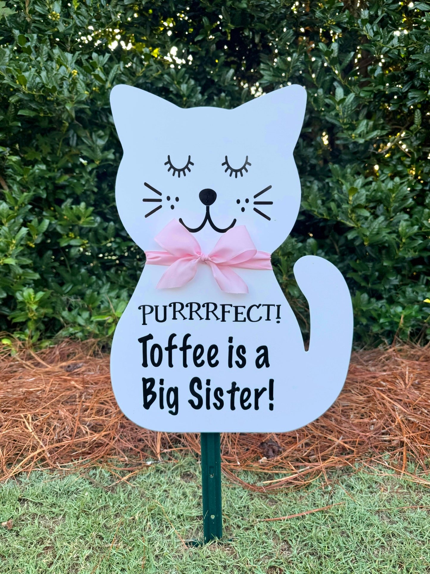 cat birth lawn yard celebration sign 