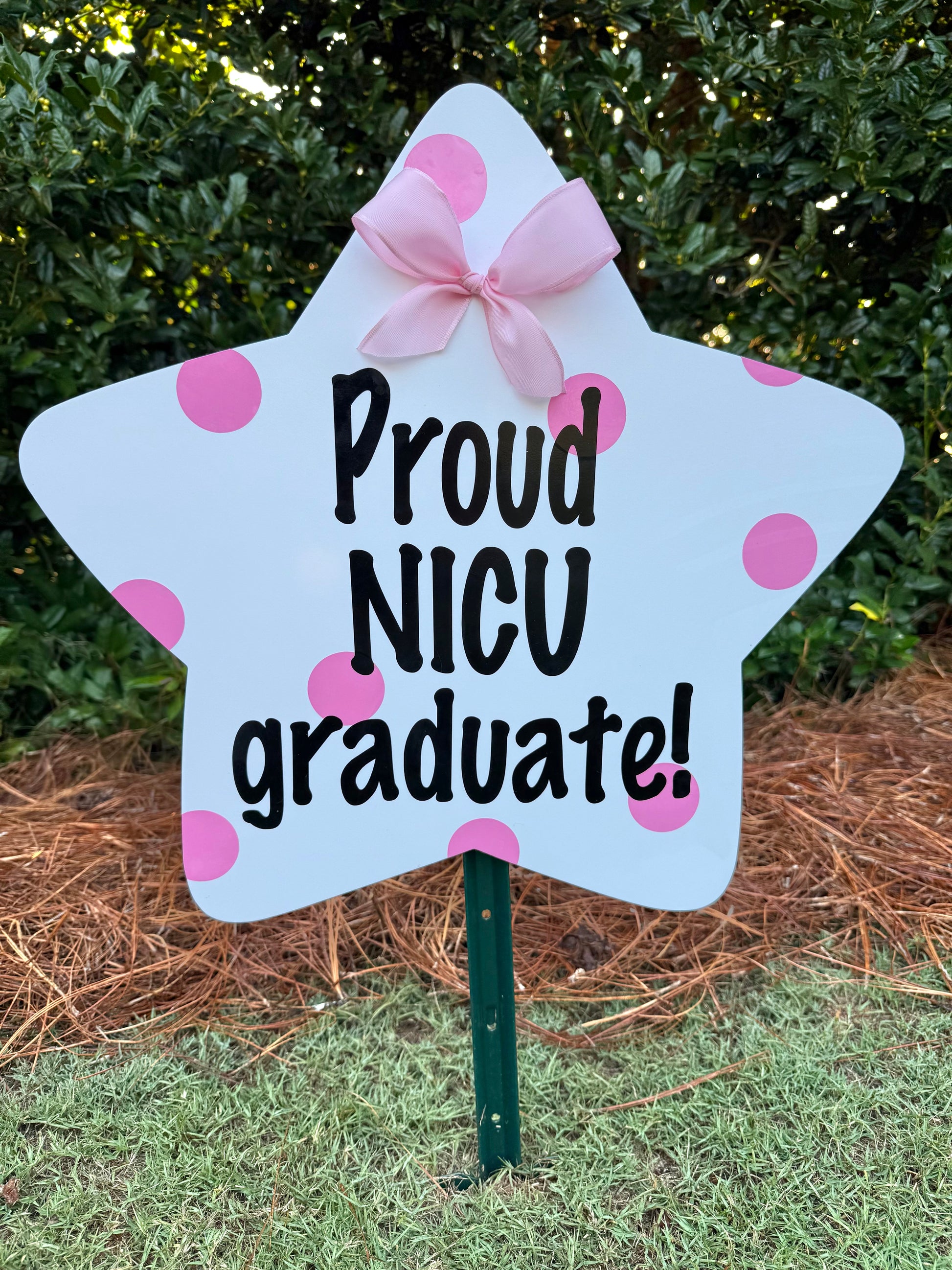 brother sister sibling star message birth lawn yard celebration sign 