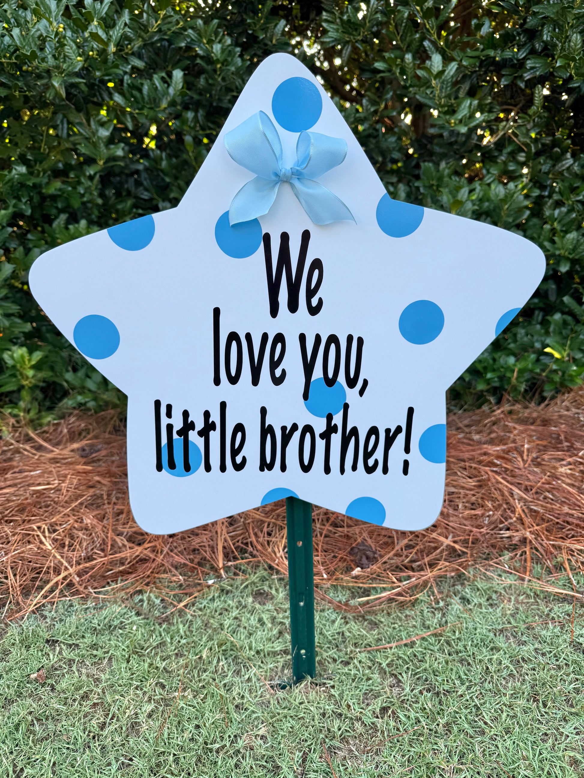 brother sister sibling star message birth lawn yard celebration sign 